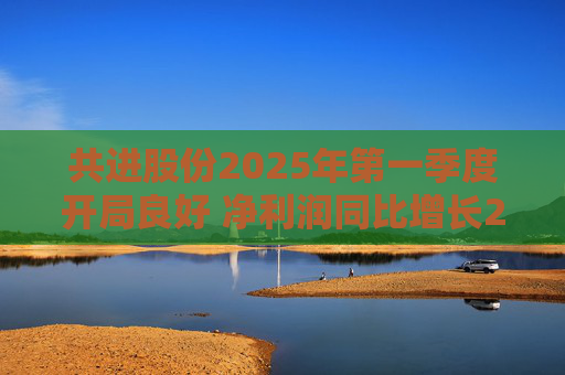 共进股份2025年第一季度开局良好 净利润同比增长267.63%