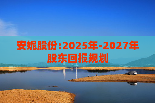 安妮股份:2025年-2027年股东回报规划