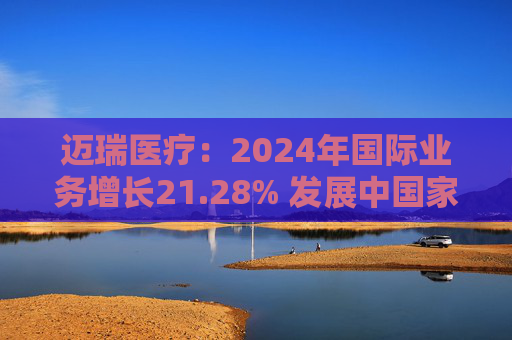 迈瑞医疗：2024年国际业务增长21.28% 发展中国家成重要增长引擎