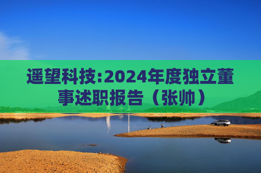 遥望科技:2024年度独立董事述职报告（张帅）  第1张