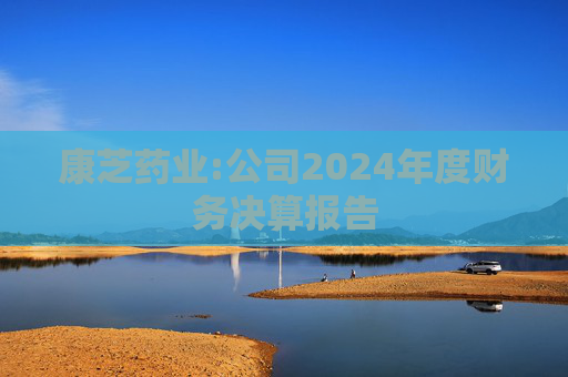 康芝药业:公司2024年度财务决算报告