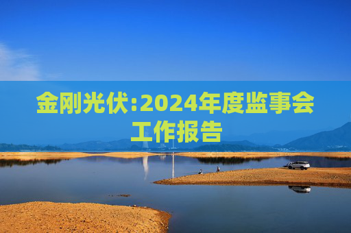 金刚光伏:2024年度监事会工作报告  第1张