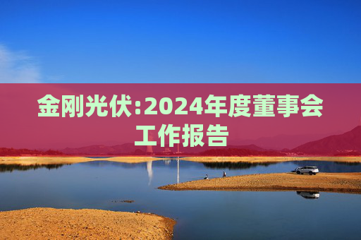 金刚光伏:2024年度董事会工作报告
