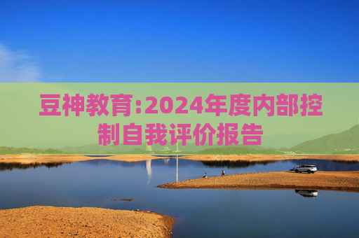 豆神教育:2024年度内部控制自我评价报告