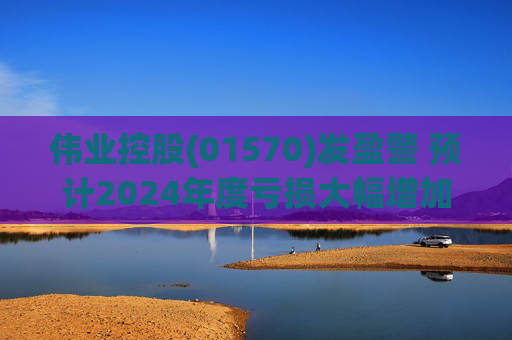 伟业控股(01570)发盈警 预计2024年度亏损大幅增加  第1张