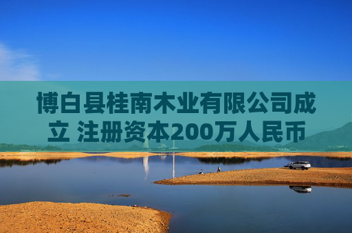 博白县桂南木业有限公司成立 注册资本200万人民币