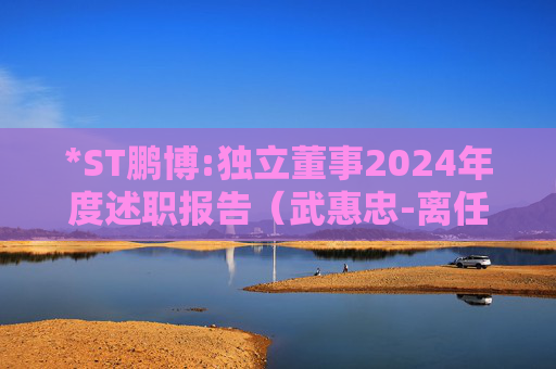 *ST鹏博:独立董事2024年度述职报告（武惠忠-离任）  第1张