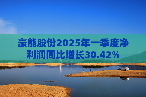 豪能股份2025年一季度净利润同比增长30.42% 第1张 豪能股份2025年一季度净利润同比增长30.42% 第1张