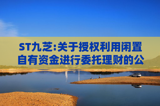 ST九芝:关于授权利用闲置自有资金进行委托理财的公告