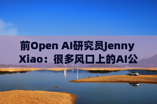 前Open AI研究员Jenny Xiao：很多风口上的AI公司都将昙花一现