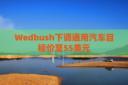 Wedbush下调通用汽车目标价至55美元