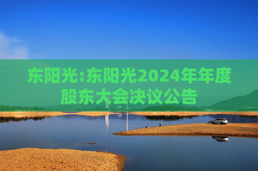 东阳光:东阳光2024年年度股东大会决议公告  第1张