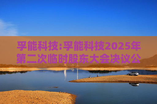 孚能科技:孚能科技2025年第二次临时股东大会决议公告