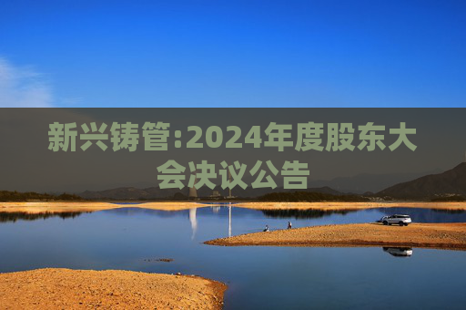 新兴铸管:2024年度股东大会决议公告  第1张
