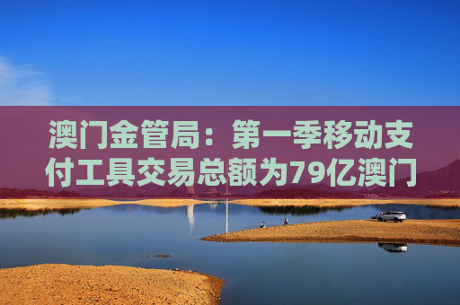 澳门金管局：第一季移动支付工具交易总额为79亿澳门元 同比上升8.7%