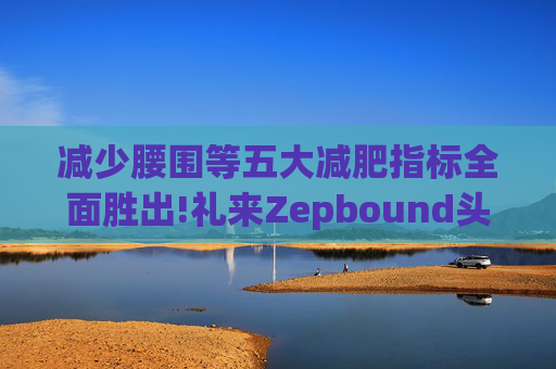 减少腰围等五大减肥指标全面胜出!礼来Zepbound头对头试验碾压诺和诺德(NVO.US)Wegovy