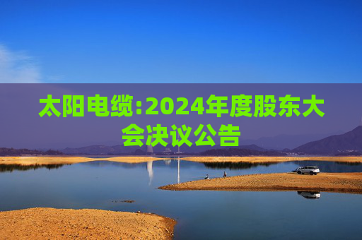 太阳电缆:2024年度股东大会决议公告  第1张