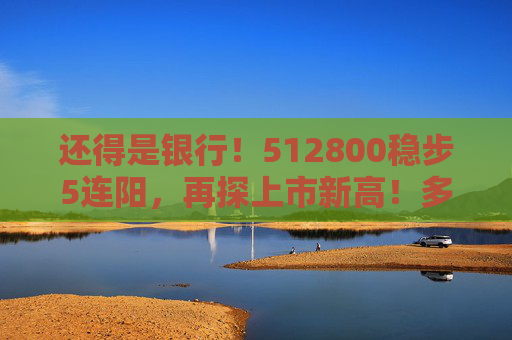 还得是银行！512800稳步5连阳，再探上市新高！多股续创历史，险资持续“爆买”