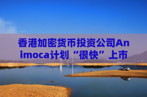 香港加密货币投资公司Animoca计划“很快”上市