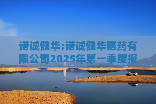 诺诚健华:诺诚健华医药有限公司2025年第一季度报告