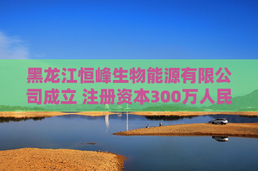 黑龙江恒峰生物能源有限公司成立 注册资本300万人民币 第1张 黑龙江恒峰生物能源有限公司成立 注册资本300万人民币 第1张