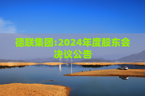 德联集团:2024年度股东会决议公告