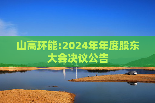 山高环能:2024年年度股东大会决议公告