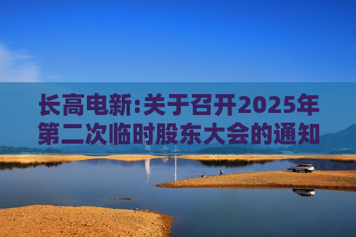 长高电新:关于召开2025年第二次临时股东大会的通知  第1张