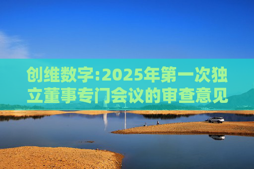 创维数字:2025年第一次独立董事专门会议的审查意见