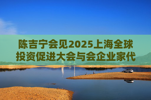 陈吉宁会见2025上海全球投资促进大会与会企业家代表