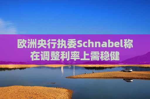 欧洲央行执委Schnabel称在调整利率上需稳健