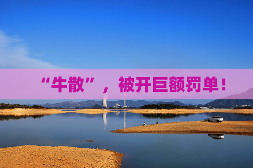 “牛散”，被开巨额罚单！