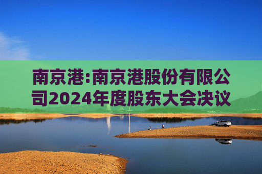 南京港:南京港股份有限公司2024年度股东大会决议公告