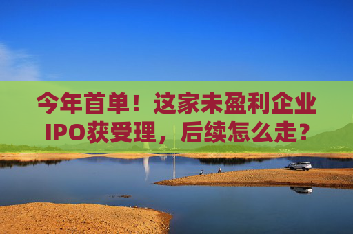 今年首单！这家未盈利企业IPO获受理，后续怎么走？  第1张
