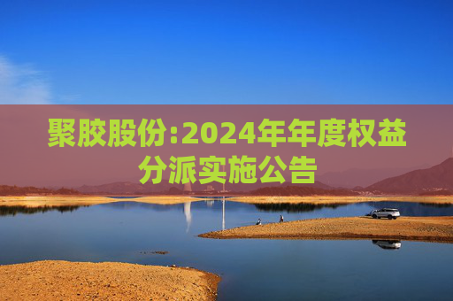 聚胶股份:2024年年度权益分派实施公告  第1张