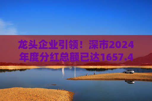 龙头企业引领！深市2024年度分红总额已达1657.47亿元