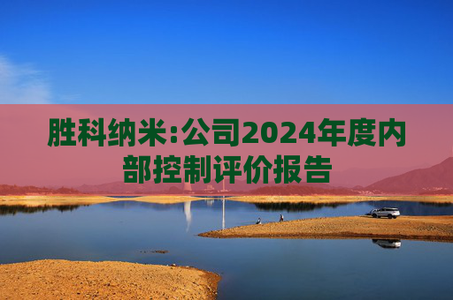 胜科纳米:公司2024年度内部控制评价报告