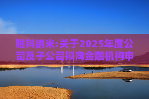 胜科纳米:关于2025年度公司及子公司拟向金融机构申请授信额度及公司为子公司提供担保额度预计的公告