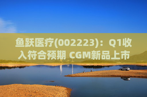 鱼跃医疗(002223):Q1收入符合预期 CGM新品上市丰富增长动能