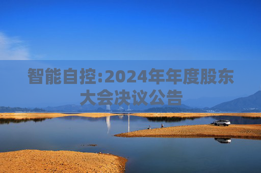 智能自控:2024年年度股东大会决议公告