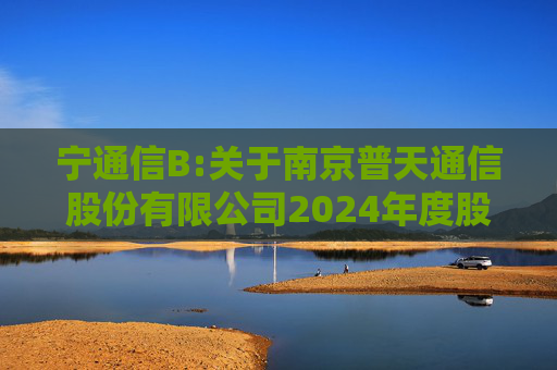 宁通信B:关于南京普天通信股份有限公司2024年度股东大会的法律意见书  第1张