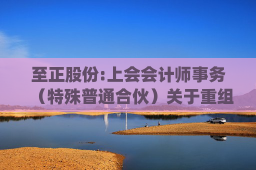 至正股份:上会会计师事务（特殊普通合伙）关于重组问询函的回复（上会业函字(2025)第739号）  第1张