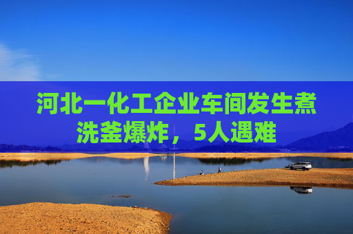 河北一化工企业车间发生煮洗釜爆炸，5人遇难