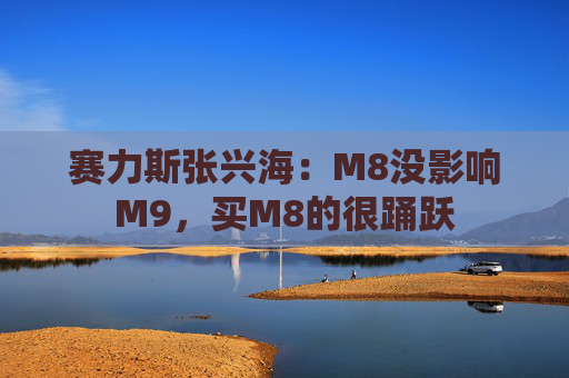 赛力斯张兴海：M8没影响M9，买M8的很踊跃