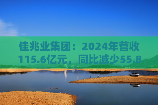 佳兆业集团：2024年营收115.6亿元，同比减少55.8%  第1张
