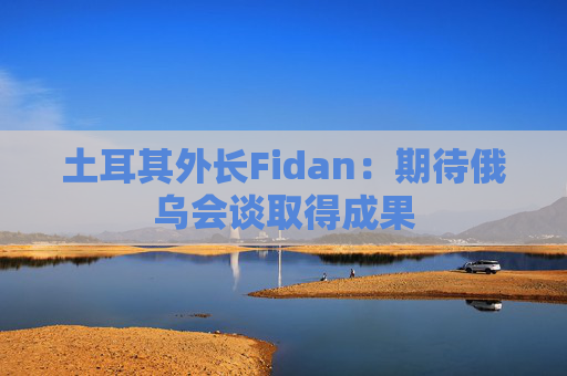 土耳其外长Fidan：期待俄乌会谈取得成果