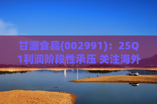 甘源食品(002991):25Q1利润阶段性承压 关注海外市场突破 第1张 甘源食品(002991):25Q1利润阶段性承压 关注海外市场突破 第1张