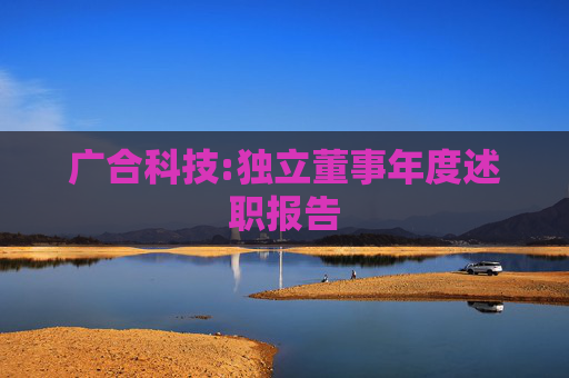 广合科技:独立董事年度述职报告  第1张