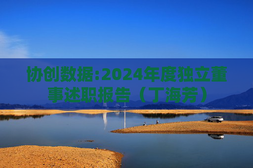 协创数据:2024年度独立董事述职报告（丁海芳）