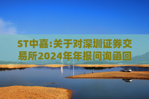 ST中嘉:关于对深圳证券交易所2024年年报问询函回复的公告  第1张